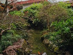-中国茶叶博物馆(双峰馆区)