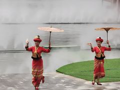 -西双版纳原始森林公园