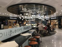 -米兰马尔彭萨国际机场