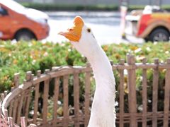 -王婆炒鱼(总店)