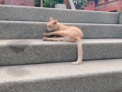 -福州开元寺