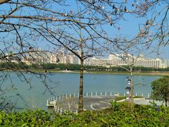 -风云岭森林公园