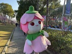 -顾村公园3号门停车场