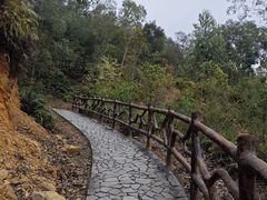 -旗岭森林公园