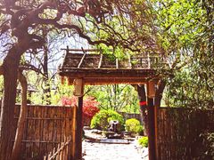 -大连植物园