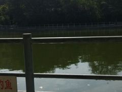 -莲湖公园