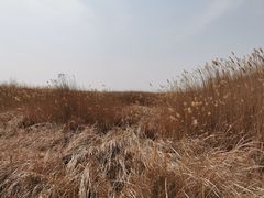 -野鸭湖国家湿地公园