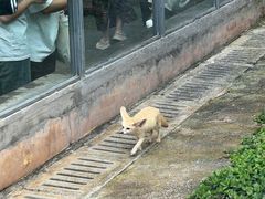 -昆明动物园