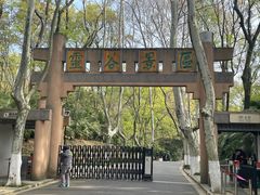 -灵谷景区