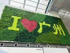 -广州白云国际机场-T2航站楼