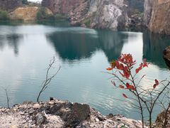 -树山生态村