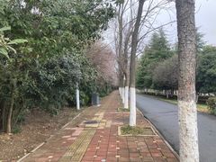 -开福禅寺