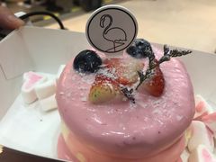 -狐狸和向日葵(北京路店)