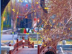 -山东大学(趵突泉校区)