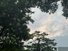 -番禺大夫山森林公园
