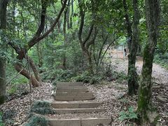 -杭州半山国家森林公园