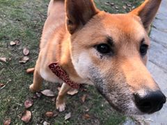 -环城公园-琥珀潭