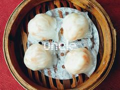 虾饺-金苑海鲜酒家(新港中路店)