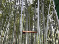 -陶祖圣境风景区