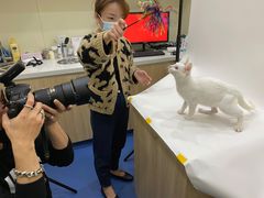 -佩兹宠物医院肿瘤专科·眼科·牙科(黄浦店)