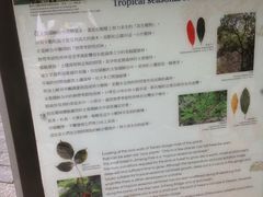 -太鲁阁公园