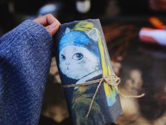 -喵屿·大理花园猫咖