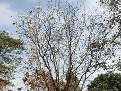 -中国移动南方基地