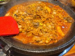 -红辣椒八爪鱼特色韩国料理