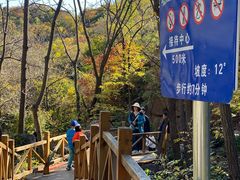 -大岭沟猕猴桃谷风景区