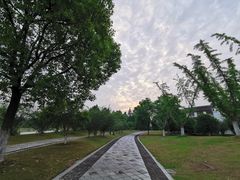 -无锡梁鸿湿地丽笙度假酒店·流觞西餐厅