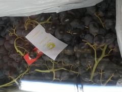 -南京众彩农副产品配送有限公司