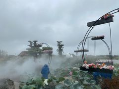 -荷兰花海