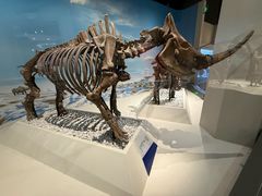 -国家自然博物馆