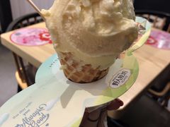 -野人先生现做冰淇淋(北京顺义祥云小镇店)