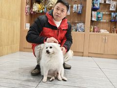 -瑞派名望志远动物医院·猫科·內科·异宠专科(直港大道店)