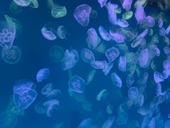 -多彩贵州城极地海洋世界