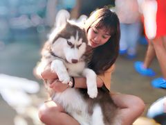 -TrueLove @ Neverland (Husky Cafe)