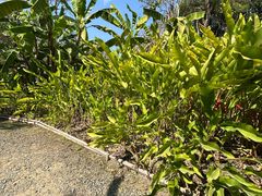 -大象粑粑造纸公园