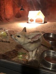 -酷嗒动物文化乐园(cutezoo西溪乐天城店)