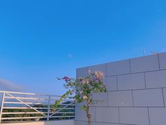 -Blue Concept Cafe&Farm·關於藍
