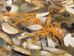 -草墩罗非鱼庄•野生菌•腊排骨(七星街上段店)