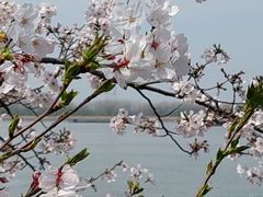 -幕燕滨江·长江观音景区