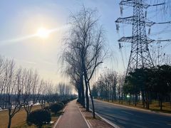 -洨河生态公园