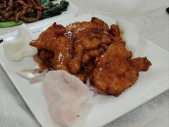 -津津菜馆(绝没分店)