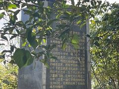 -南京老山国家森林公园