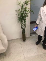 -苗方清颜·祛痘皮肤管理