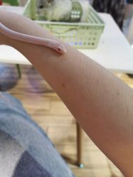 -Moni星球萌宠·小马宝莉·灵蛇·高端高阶全萌宠互动体验俱乐部(红豆国际广场店)