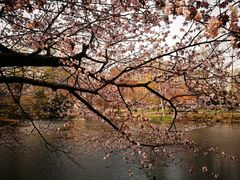 -北海道厅旧本厅舍(旧本庁舎)