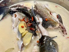 -豪园台山碳烧生蚝(蓬江江华店)