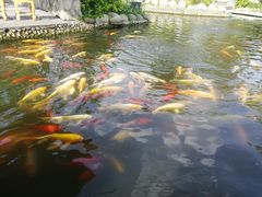 -成飞公园